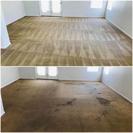 Carpet Cleaning In Aurora Co Results 1