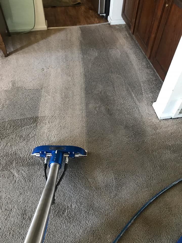carpet cleaning in denver co results 5