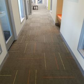 commercial carpet cleaning in denver co results 5